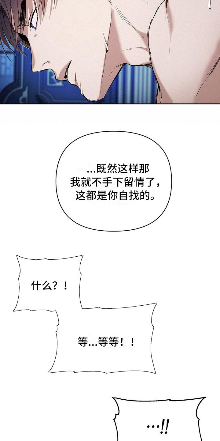 帝国的轮回 - 你是谁 - 第14页