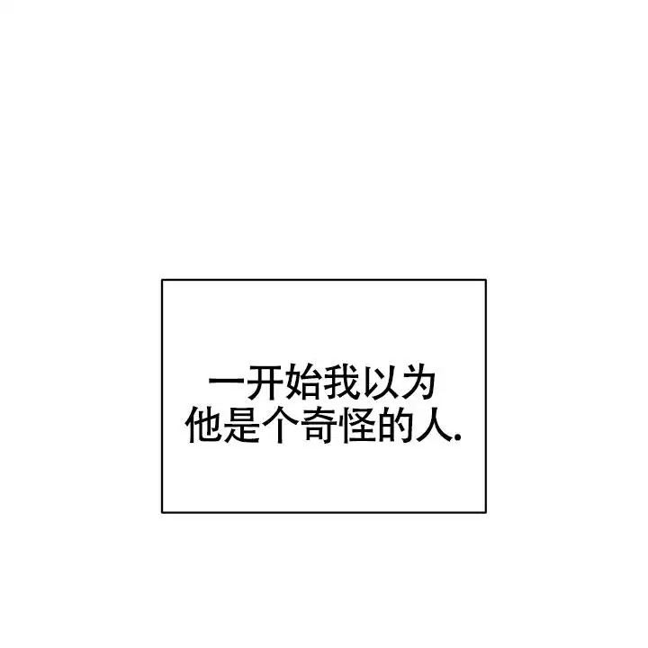 雪融化的那天 - 唯一的光 - 第21页