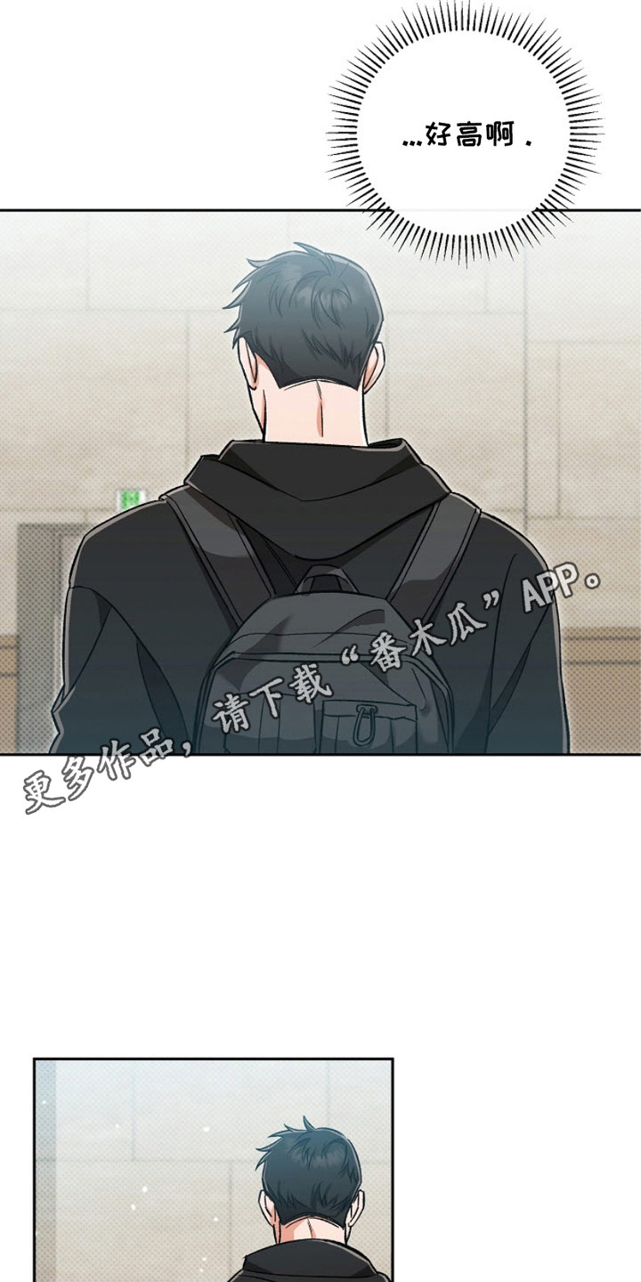 迷恋信息素 - 梦碎了 - 第12页