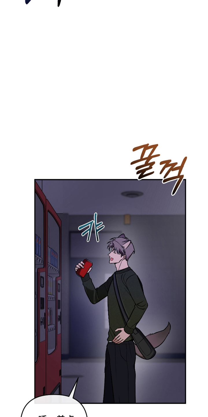 研究对象是哥哥 - 半夜的教室 - 第14页