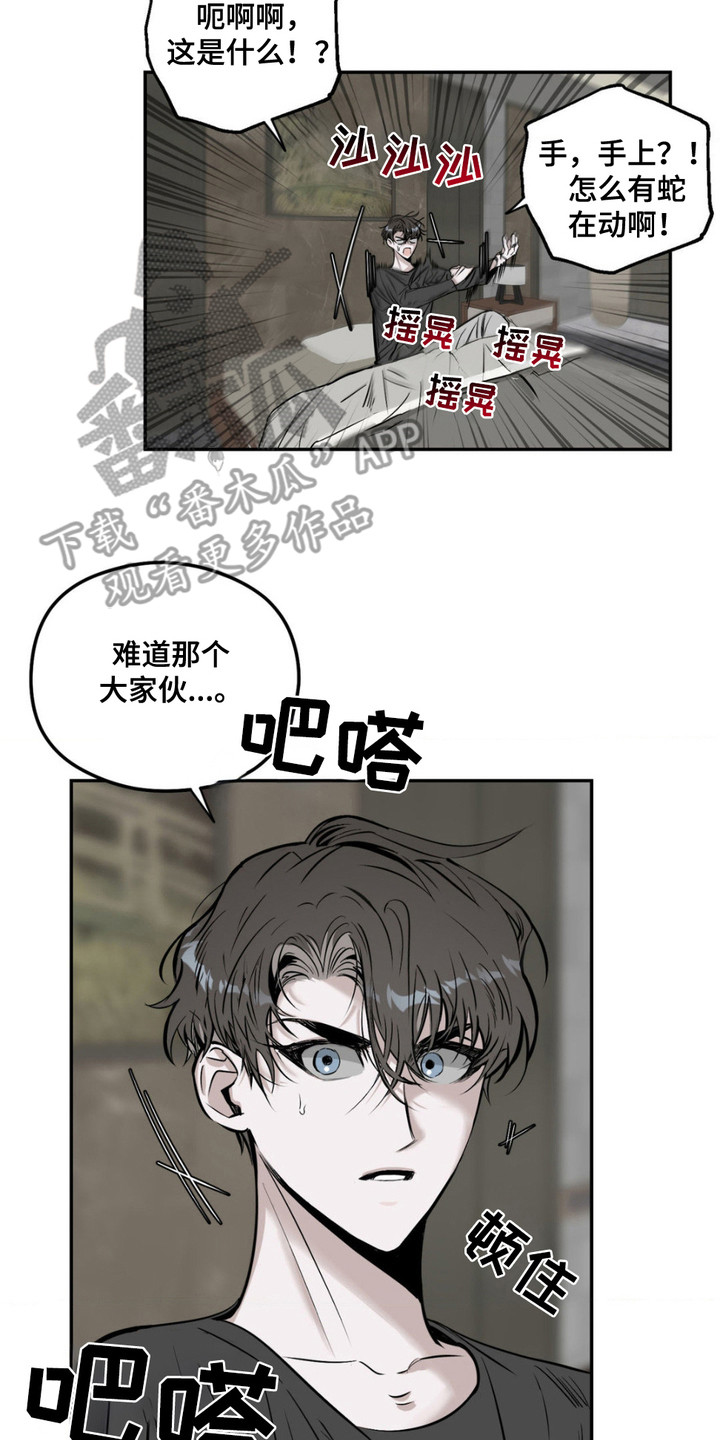 月下蛇影 - 出乎意料 - 第21页