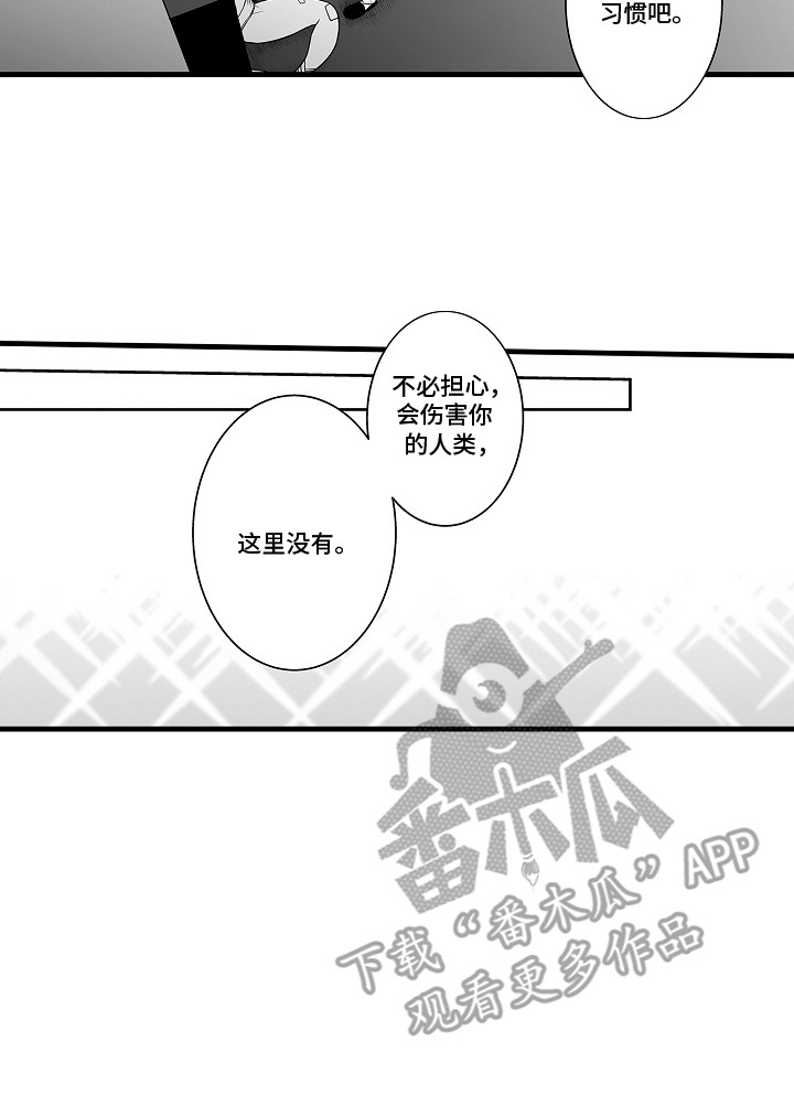 鱼缸里的恋人 - 取名 - 第18页