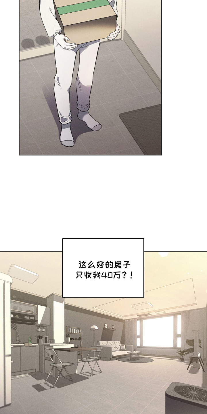 非浪漫时代 - 收留 - 第17页