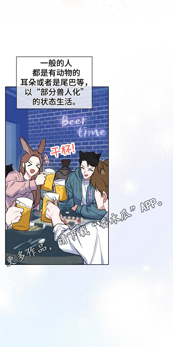 狐狸特饮 - 视线 - 第6页