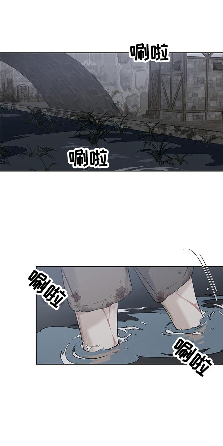 走进玫瑰园 - 底层 - 第16页
