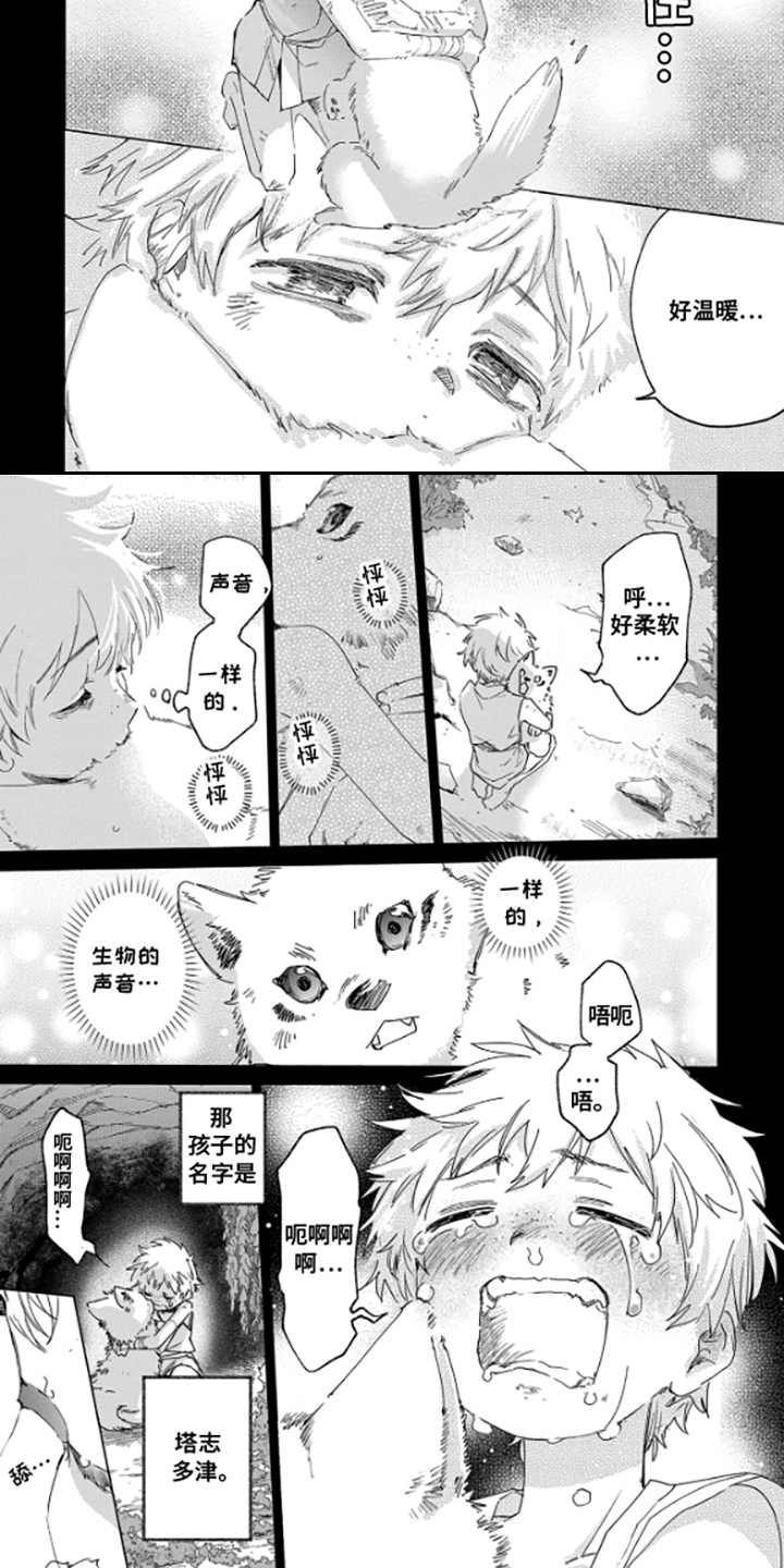 狼群中的少年 - 狼少年 - 第5页