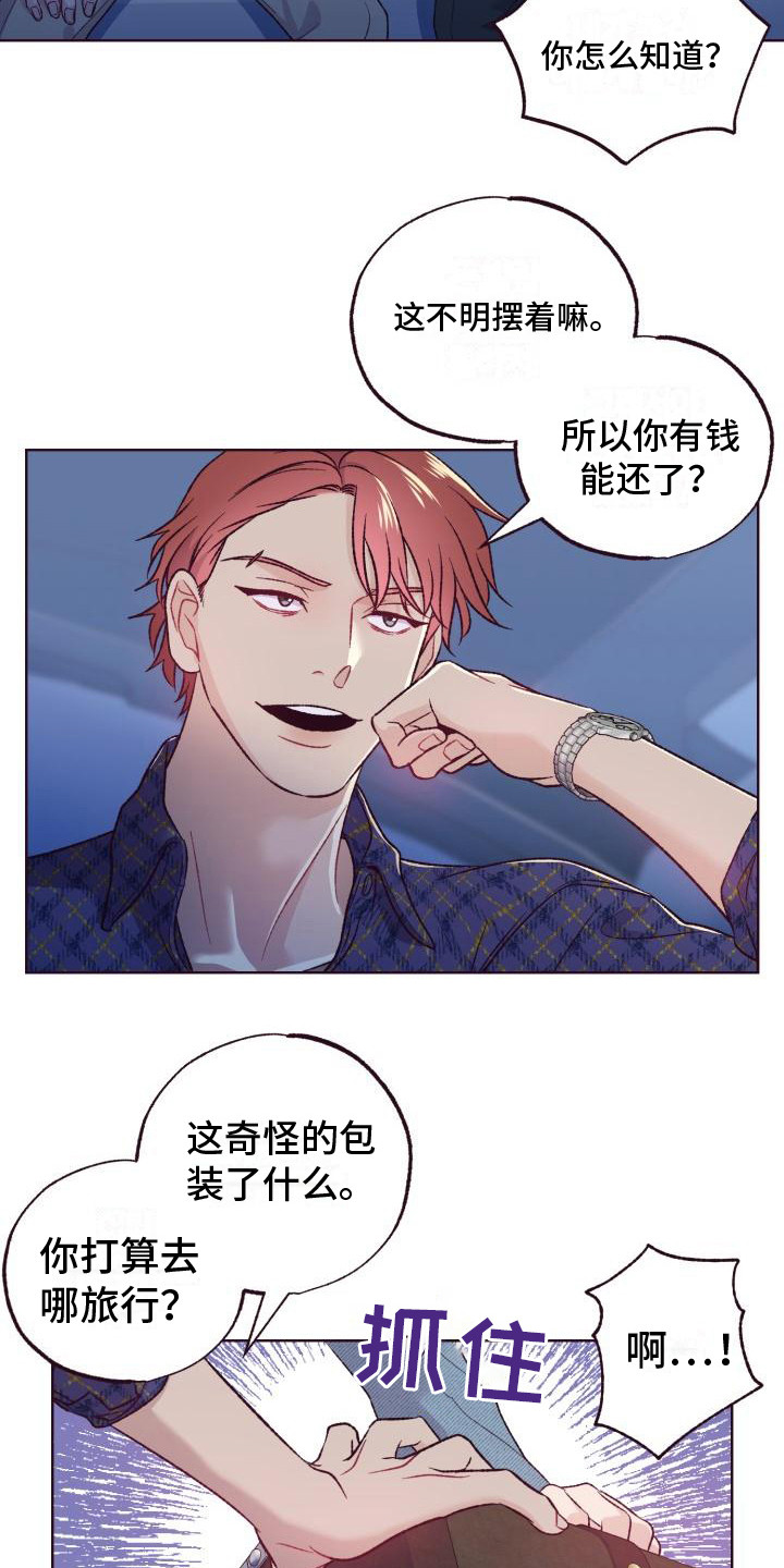 坠落 - 还债 - 第6页