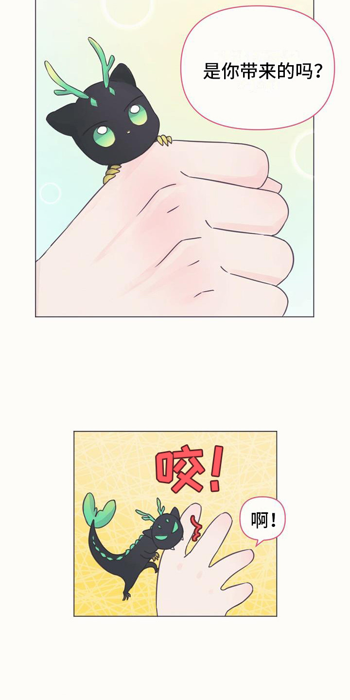 兔兔的小龙宝 - 幼龙 - 第18页