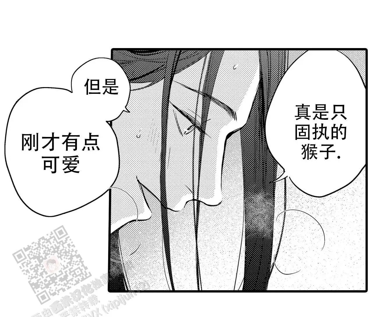 西行记 - 固执的猴子 - 第12页