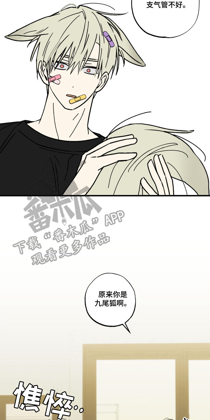 我的狐妖同事 - 重新介绍 - 第9页