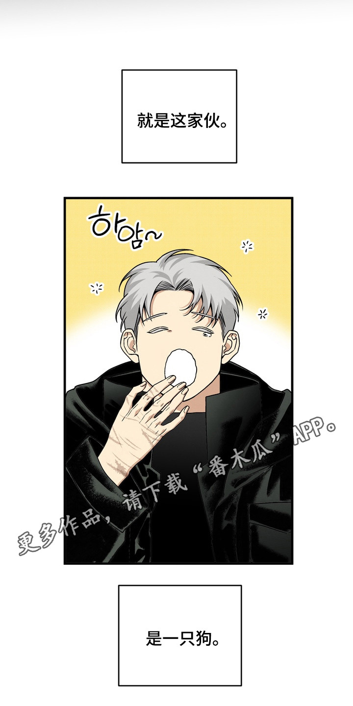 开发训狗 - 规则 - 第12页