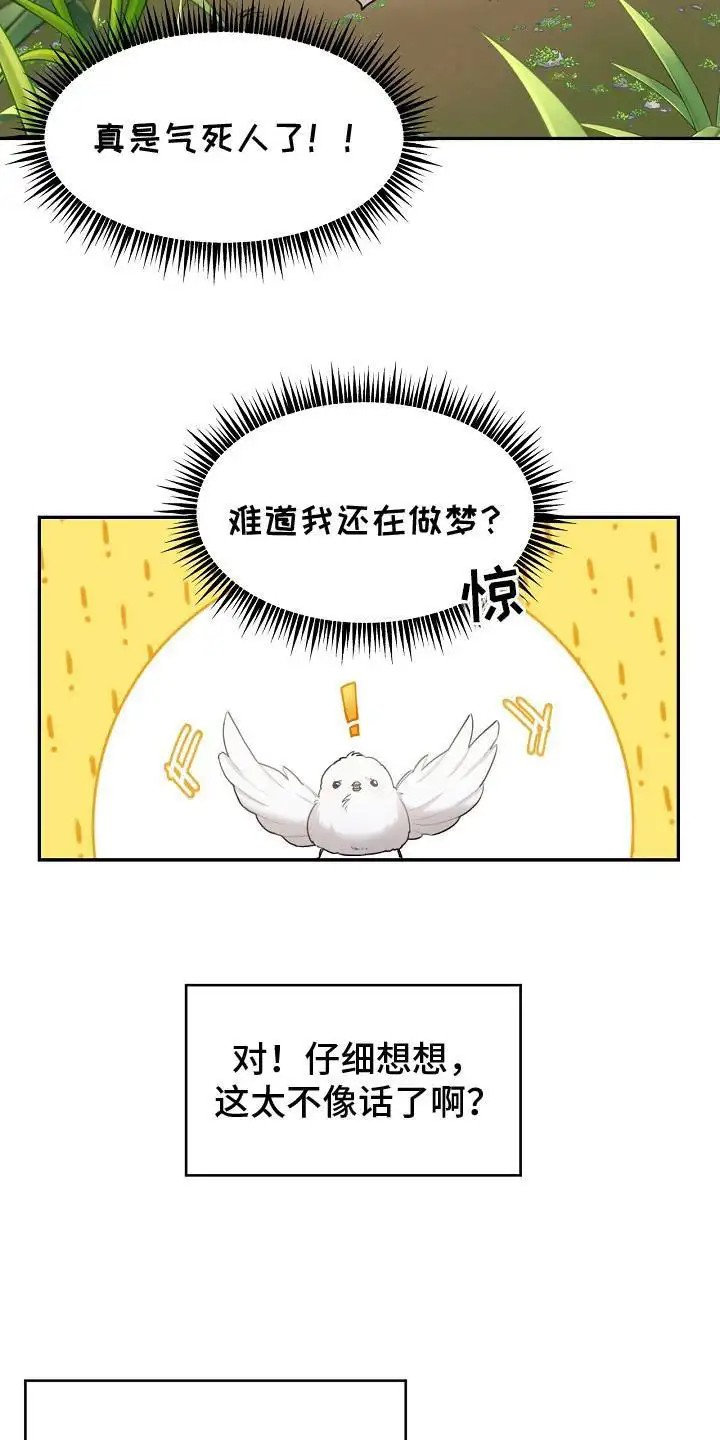 白鸟奇遇记 - 白色小鸟 - 第12页