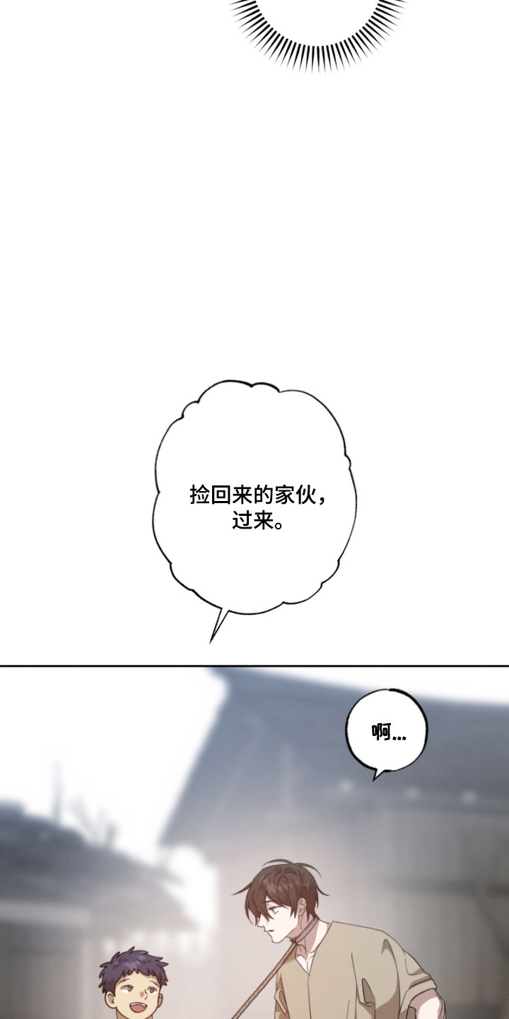 双生悲愿 - 警告 - 第10页