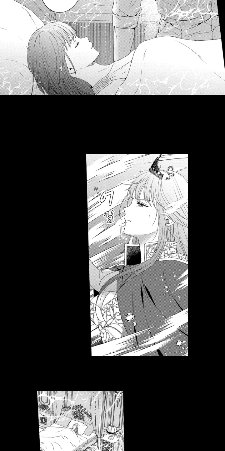 魔王大人请小心 - 预知能力 - 第14页