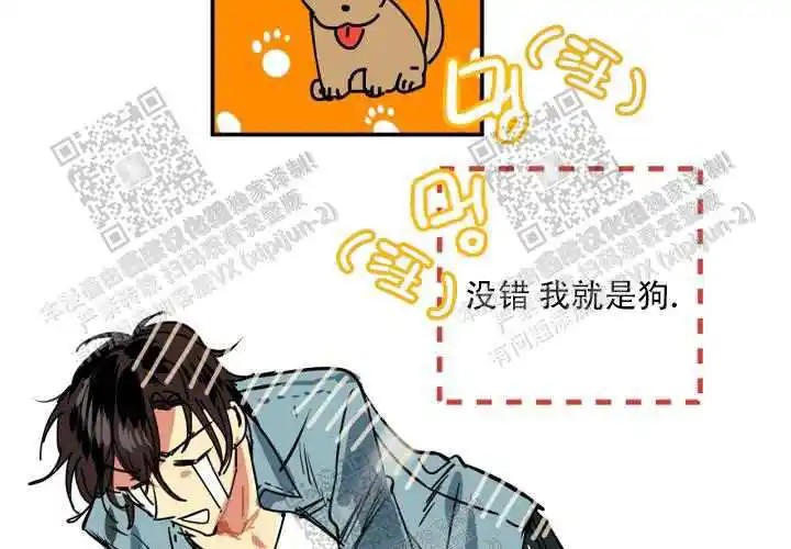 让我做就做 - 绝了… - 第33页