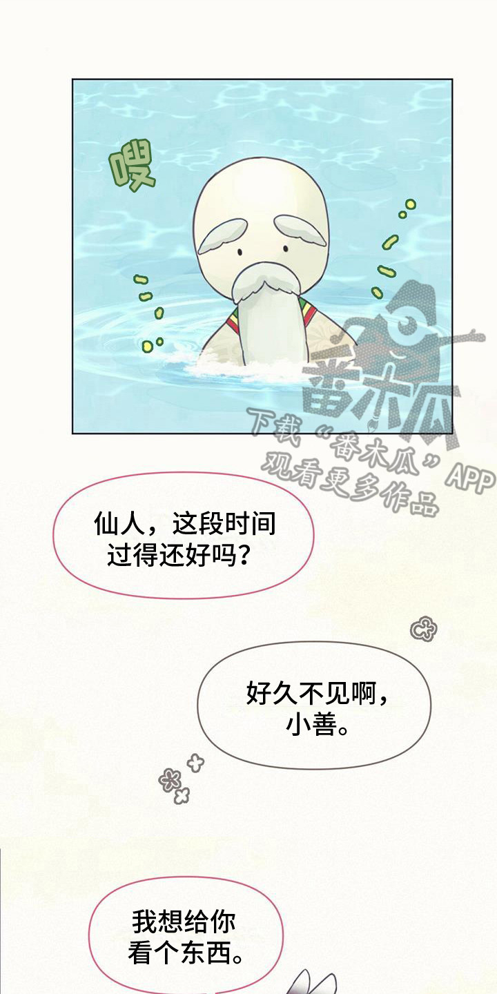 兔兔的小龙宝 - 长不大 - 第16页