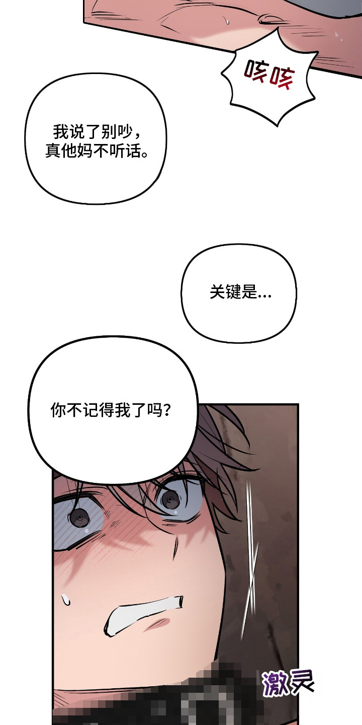 活体快递 - 特殊快递 - 第14页