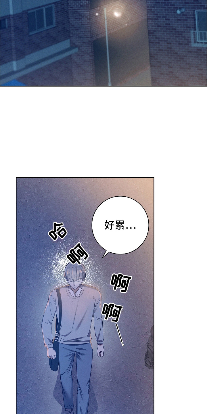 成为皇太子妃 - 有人跟着 - 第15页