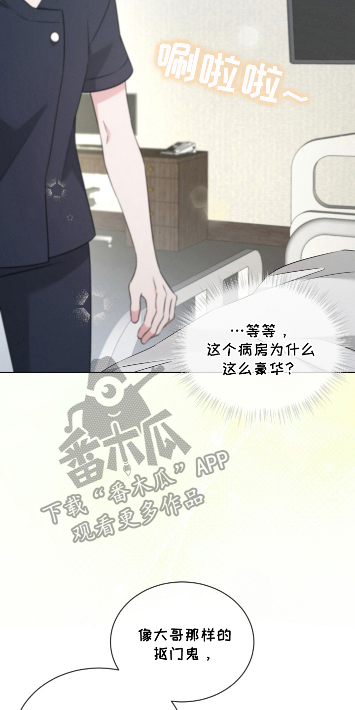 无香的花 - 苏醒 - 第13页