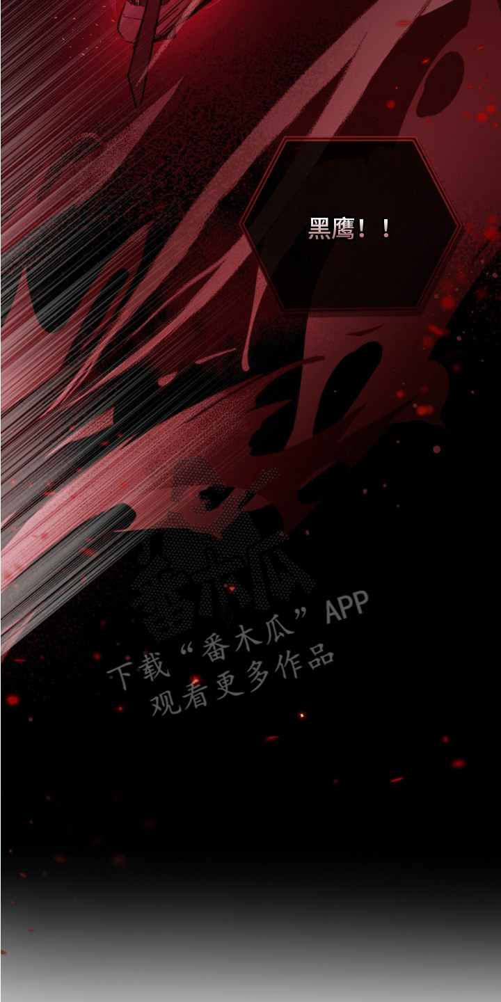 幸存者的曙光 - 黑鹰坠落 - 第18页