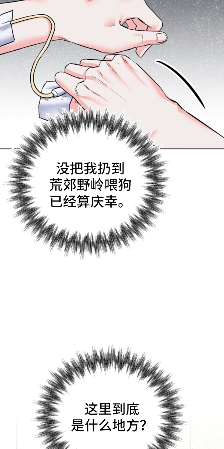厌恶万岁 - 醒来 - 第32页