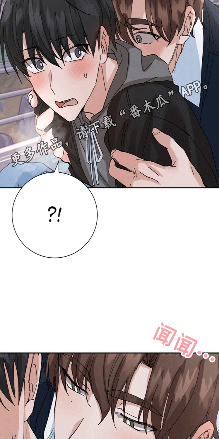 奇异夫妇 - 和我结婚吧 - 第11页