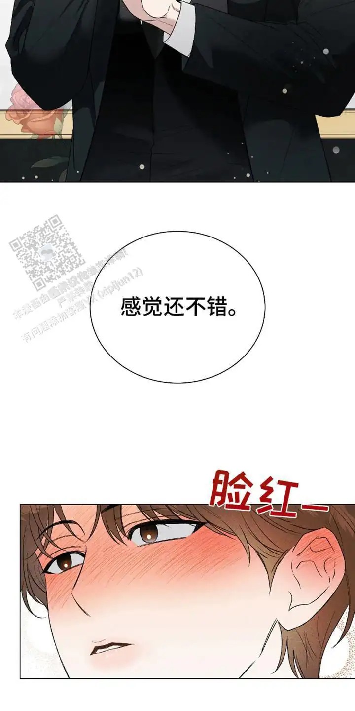 坏苹果替代品 - 计划成功 - 第7页