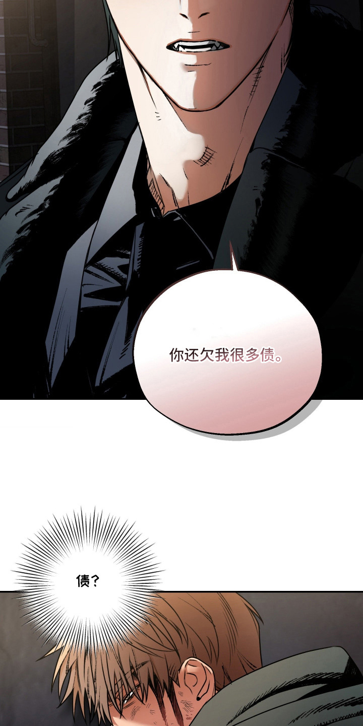 兔入狐窝 - 恩怨纠葛 - 第16页