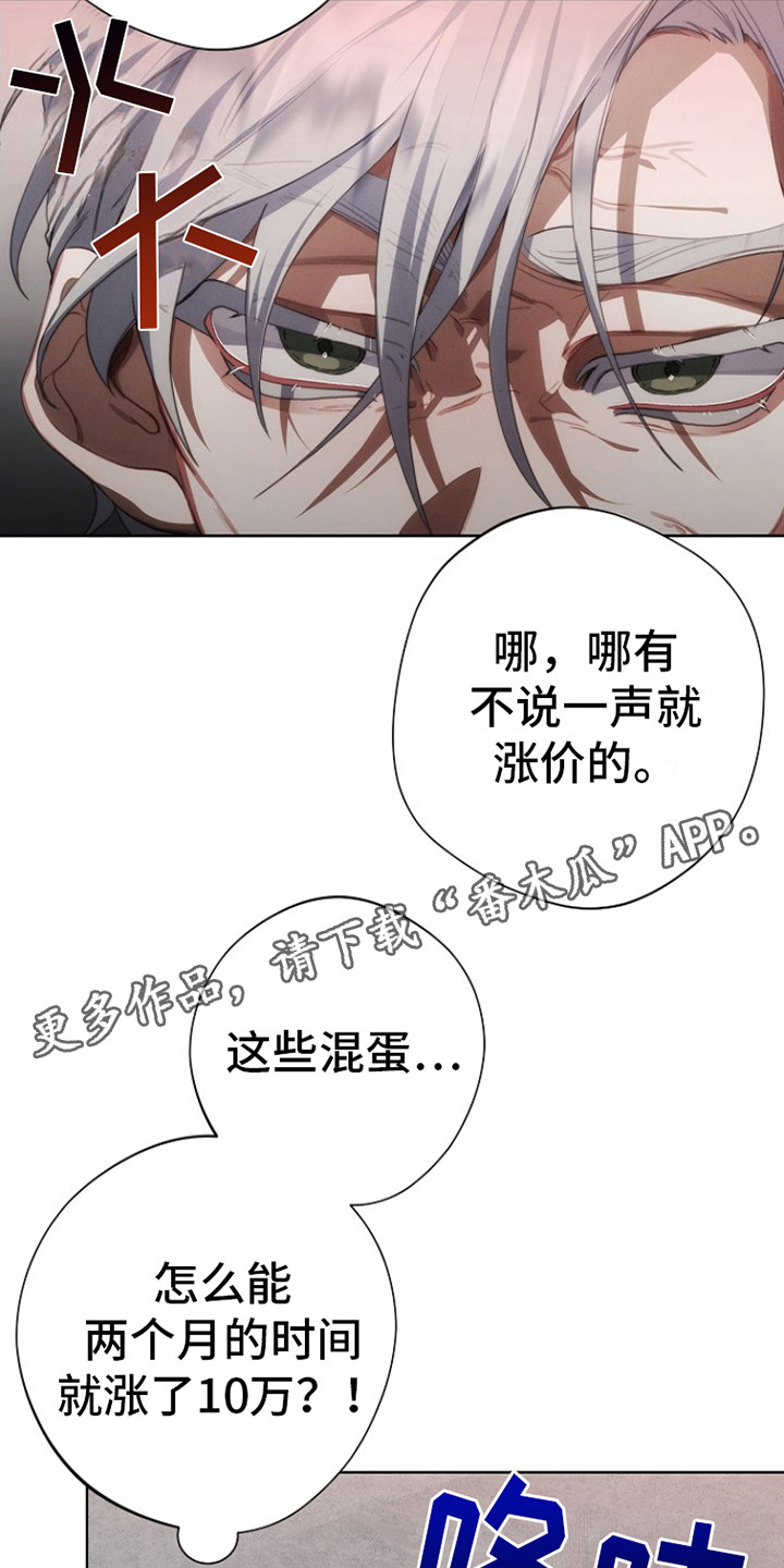 红色公寓 - 涨价 - 第6页