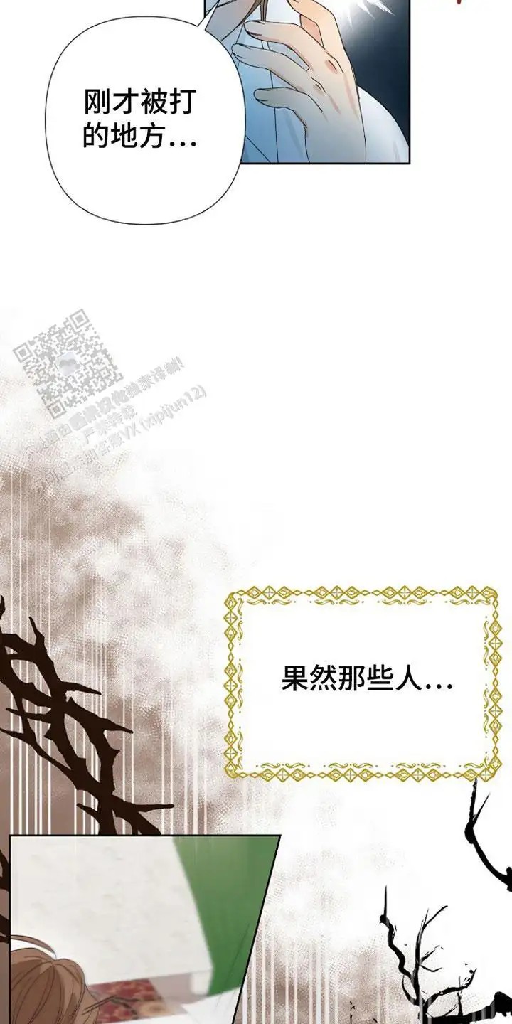 这个乙游不对劲 - 穿越 - 第8页
