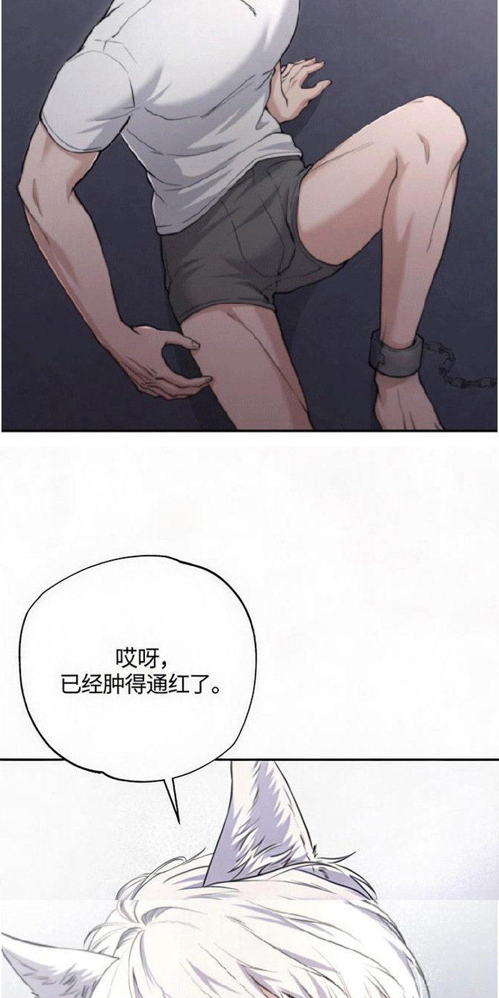 星光狼影 - 意料之外 - 第8页
