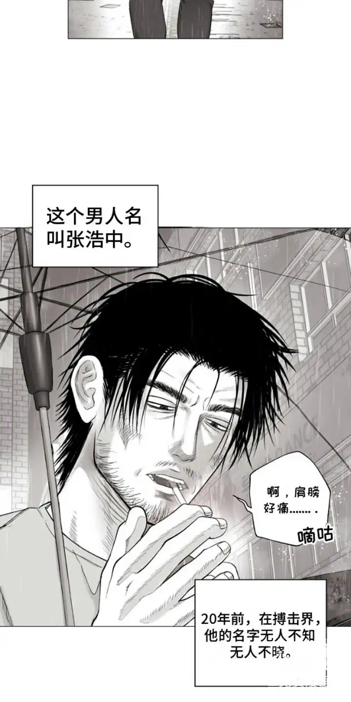 不屈的冠军 - 曾经的冠军 - 第14页
