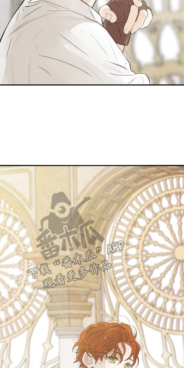 月光骑士 - 打招呼 - 第15页