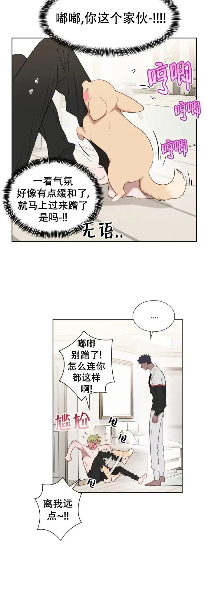 二手爱情 - 爱信不信 - 第15页