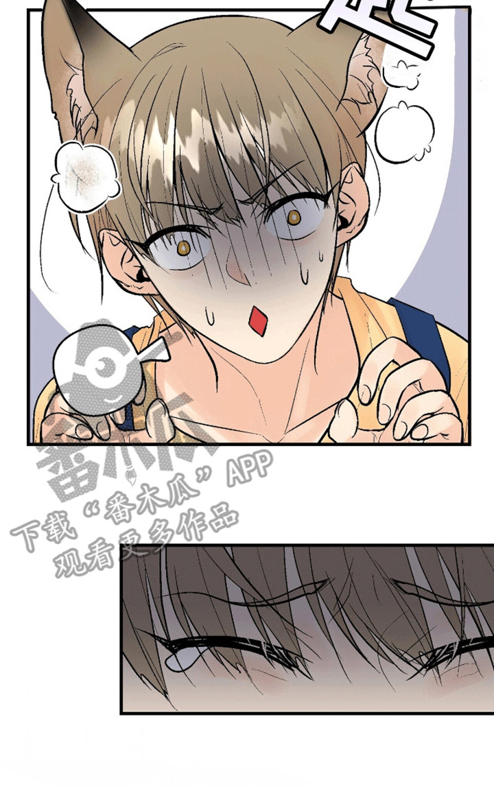 奇爱谈 - 危险 - 第17页