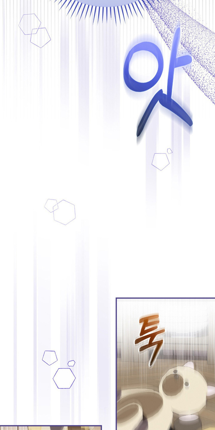 疯批大公的玩偶 - 难以置信 - 第23页