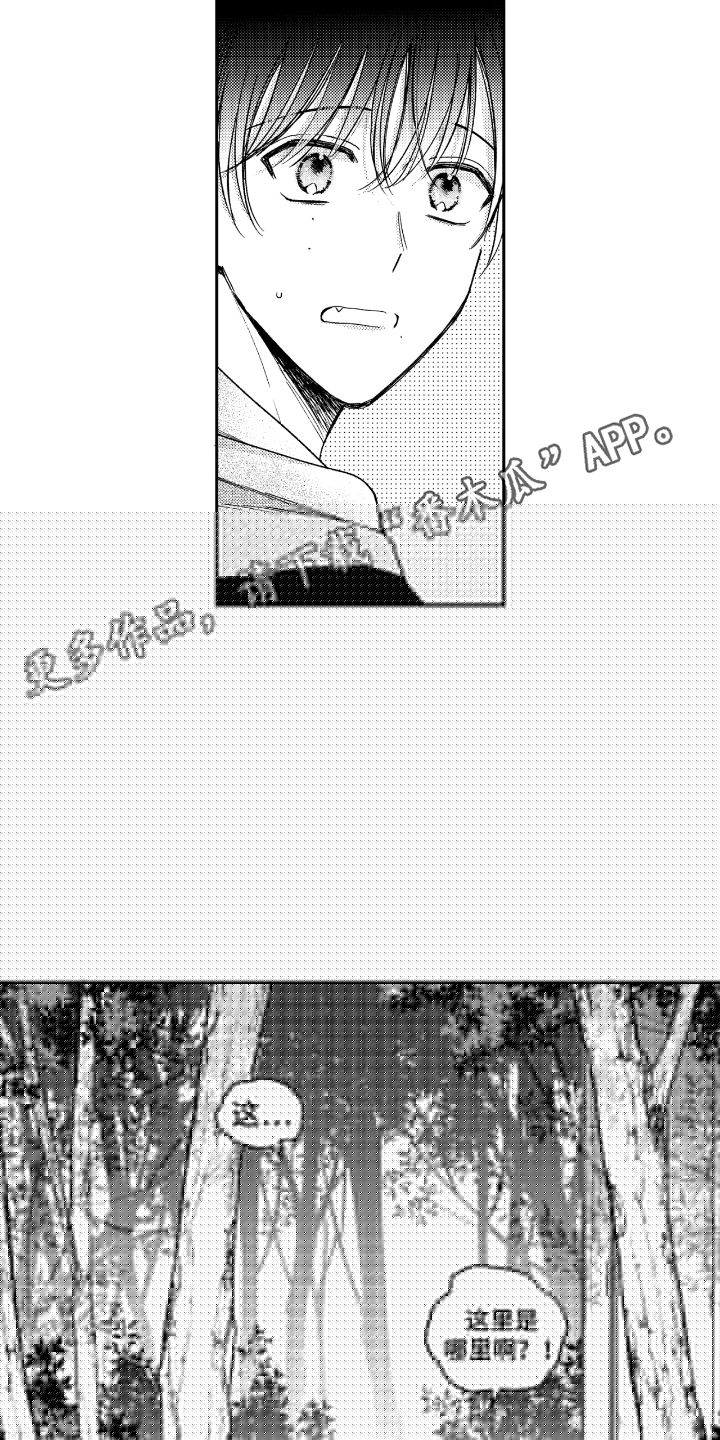 虚假的另一个他 - 穿越 - 第11页