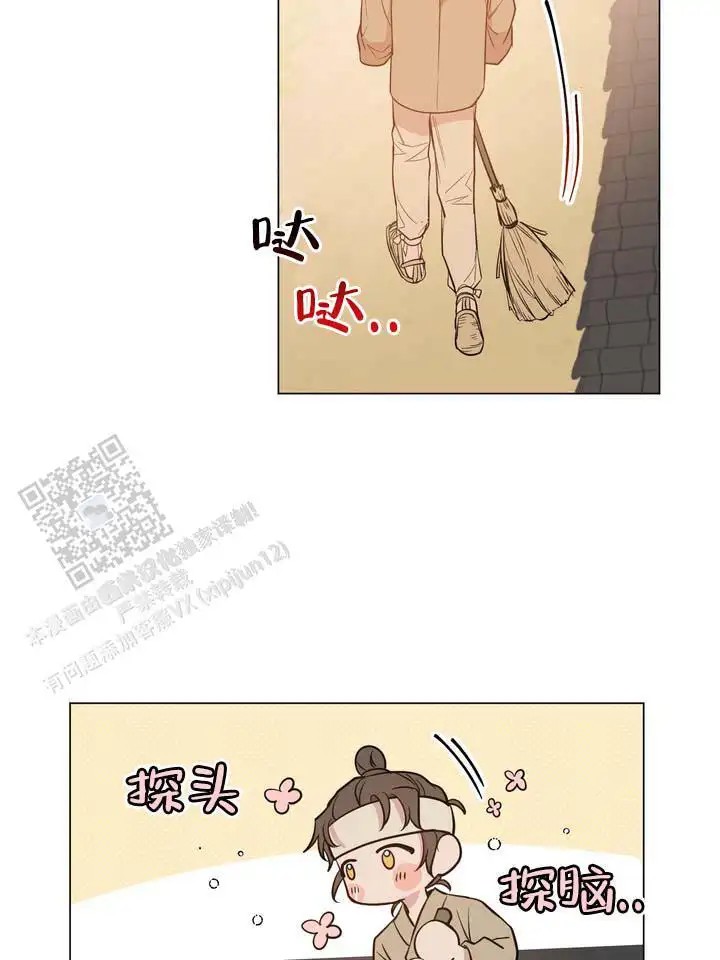 无情恋歌 - 这个声音 - 第14页