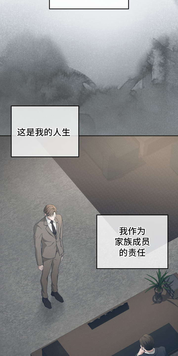 记忆的尽头 - 联姻 - 第11页