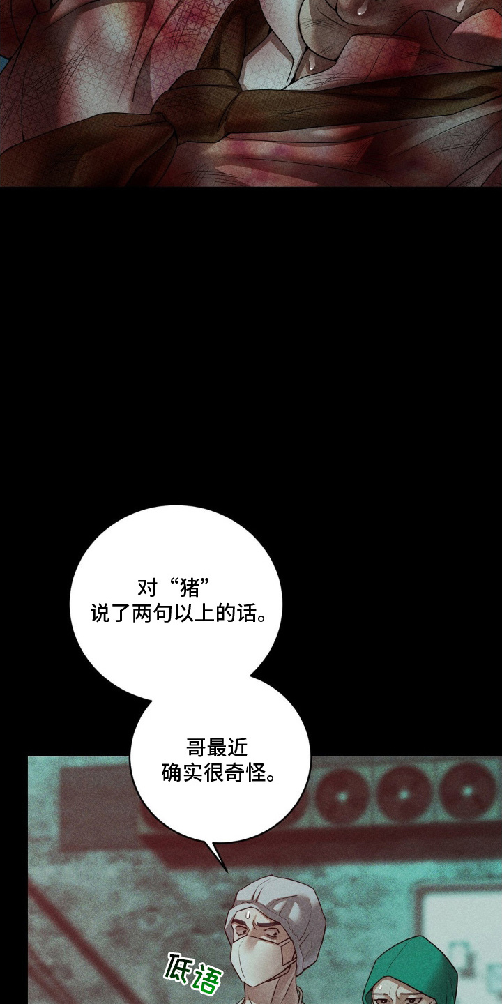 点燃黎明 - 两天前 - 第12页