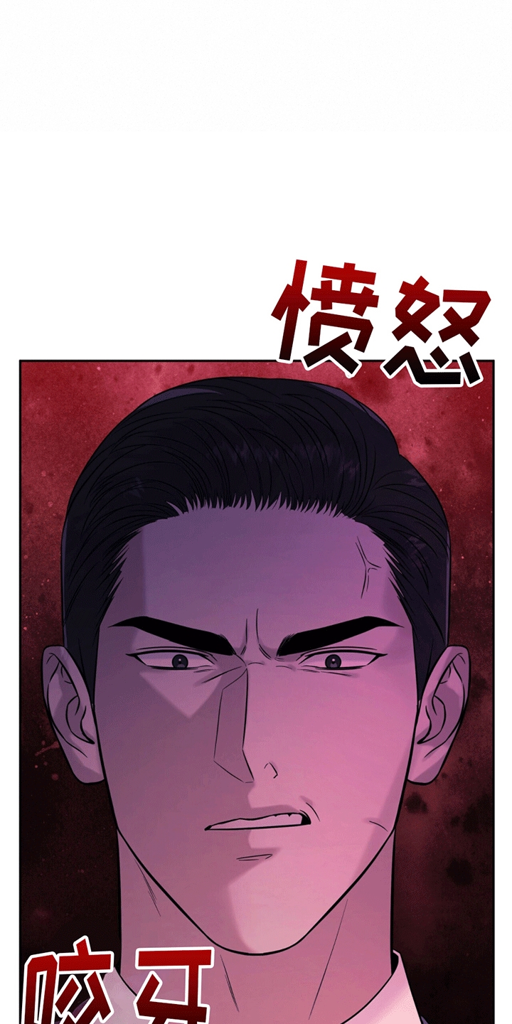 秘书生存日记 - 脾气糟糕的代表 - 第28页