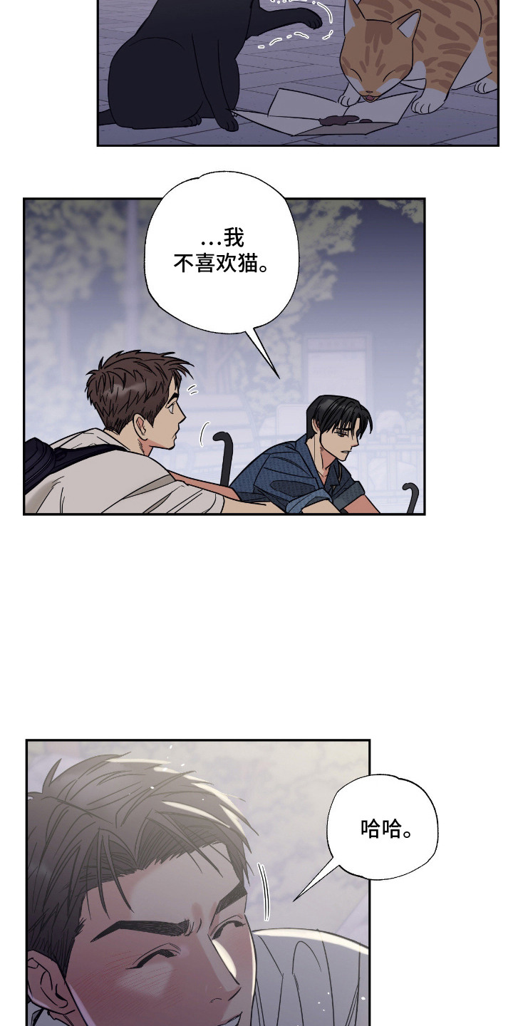 猫大爷和我 - 野猫 - 第13页