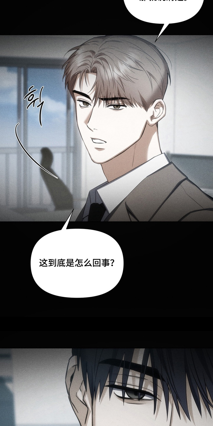 假意真情 - 姐夫 - 第17页