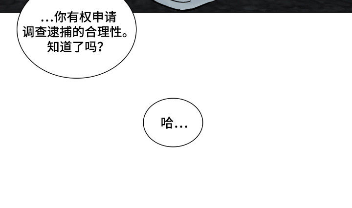 罪案编码 - 抓捕嫌疑人 - 第20页