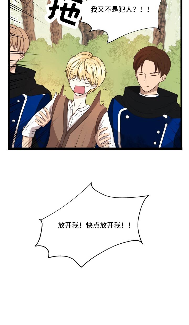与王子假扮情侣 -   - 第21页