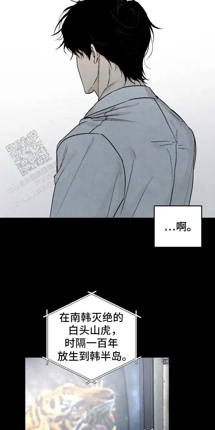 前世的祈愿 - 感到混乱 - 第16页