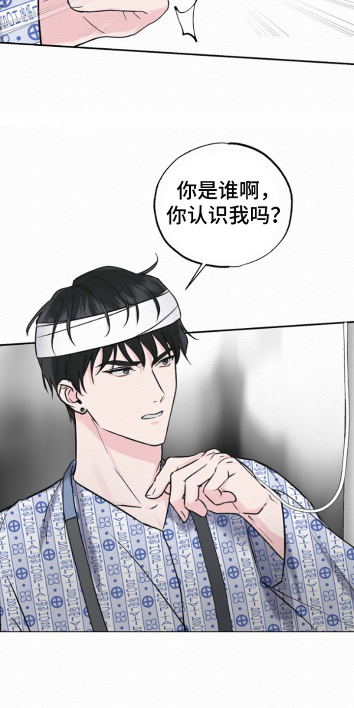 沉香记忆 - 生日 - 第11页