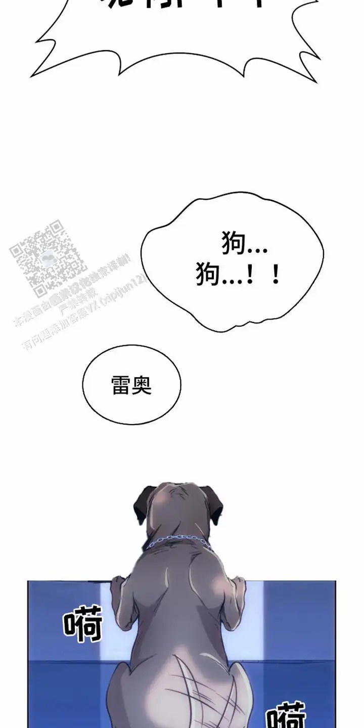 坏苹果狗笼 - 邀请 - 第22页