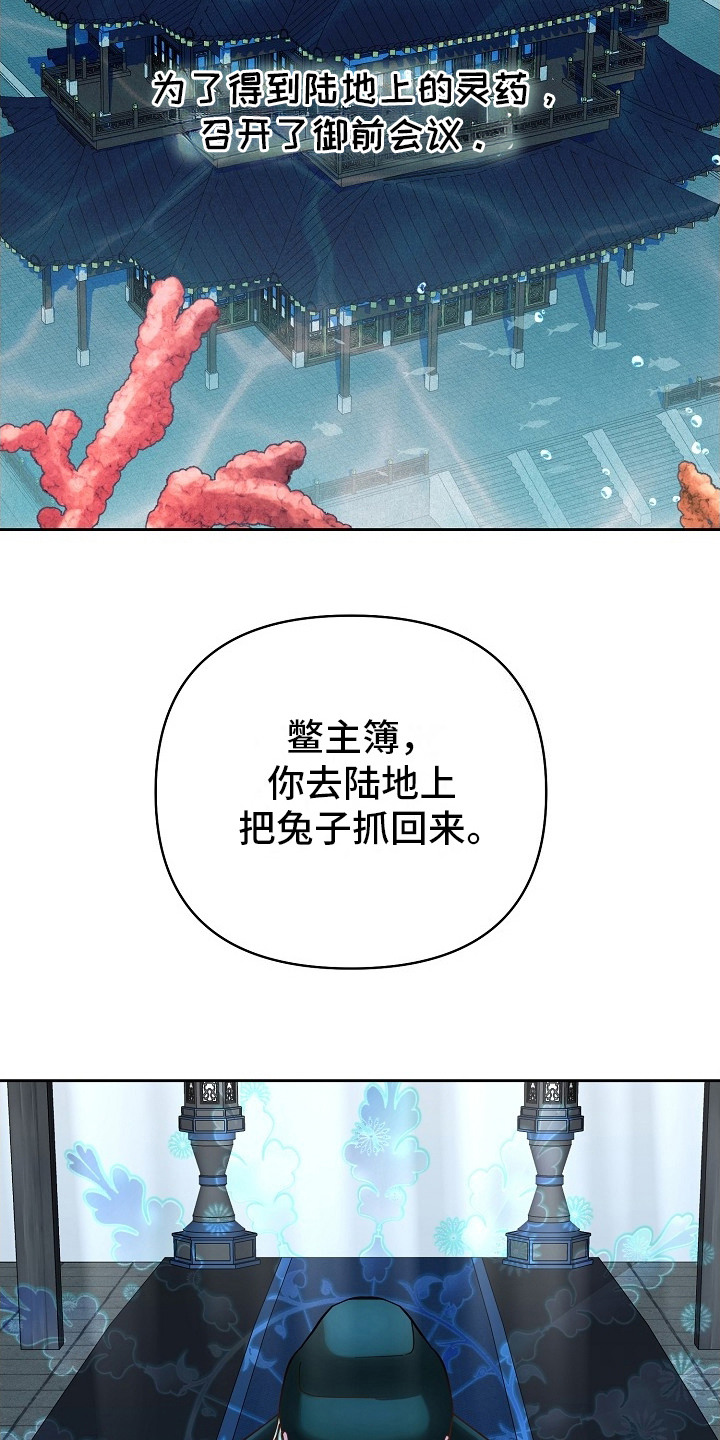 腹黑兔子 - 命令 - 第22页