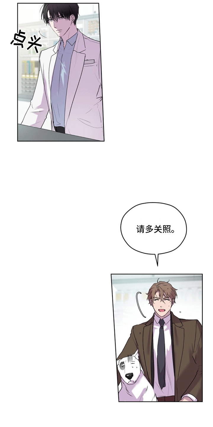 呼吸的记忆 - 斗犬 - 第11页